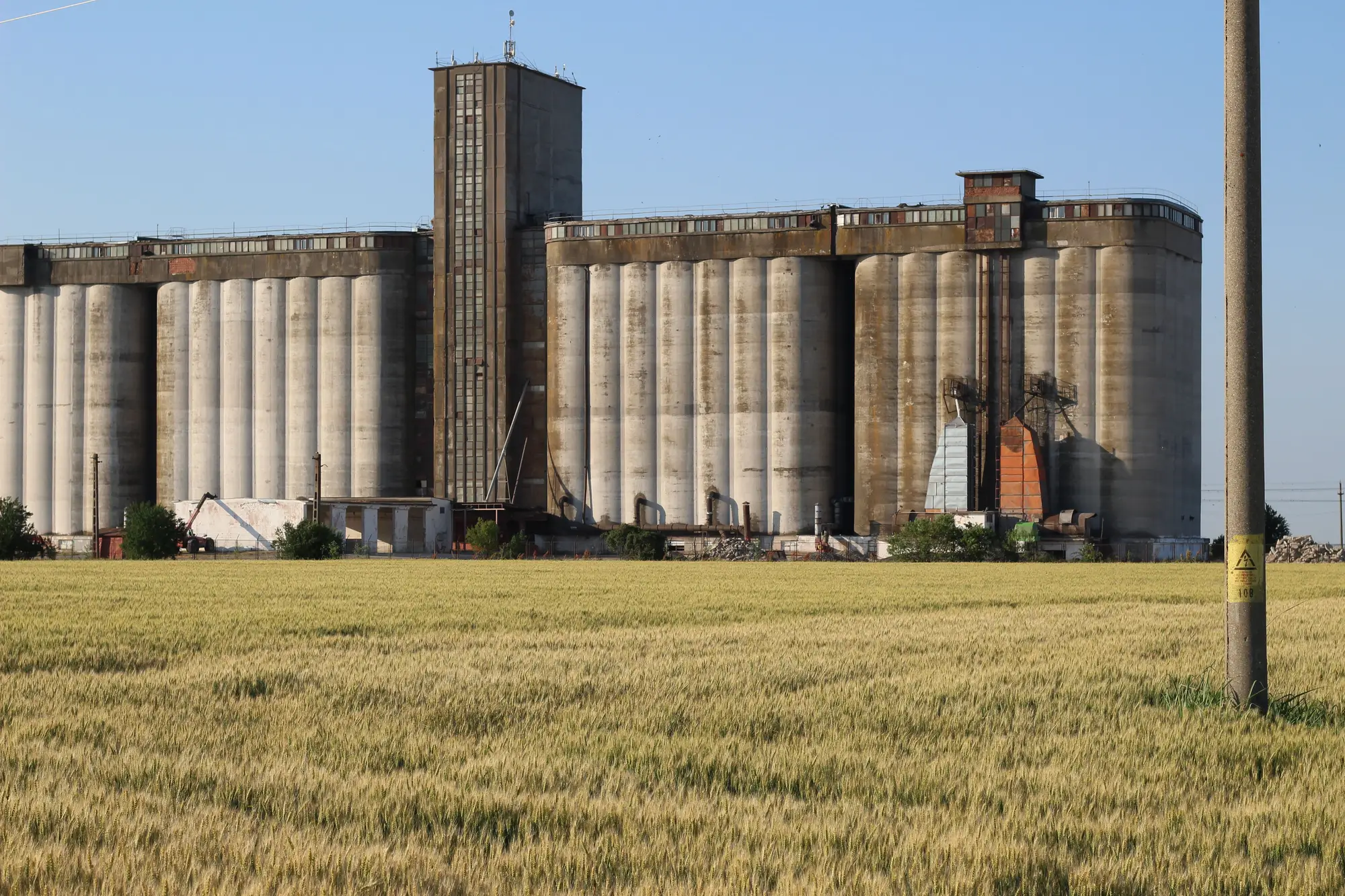 Concrete grain elevators standing behind a ripening wheat field